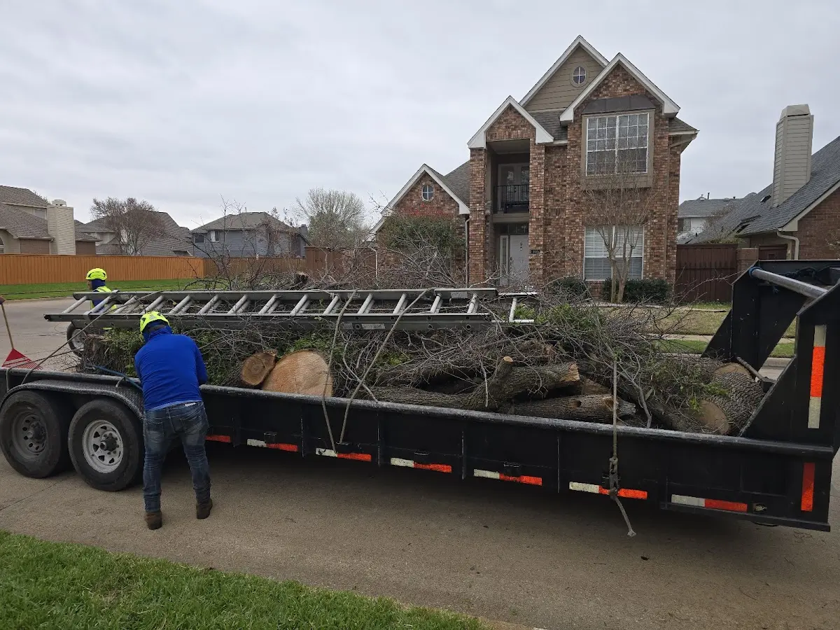 Expert Crown Reduction with proper safety equipment in Turtle Lake